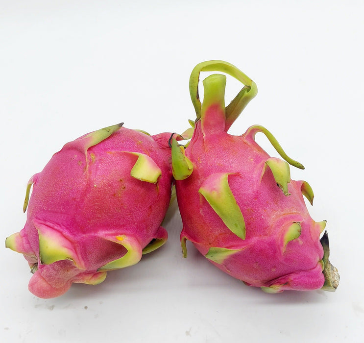 Imported Dragon Fruit White: 1 pc (Delhi/NCR)
