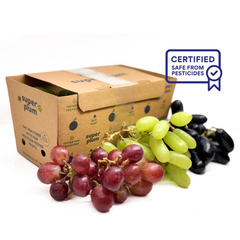 Black, Green & Red Grapes Mix: 450 gms (Delhi/NCR)