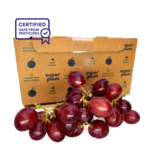 Safe to Eat Red Grapes: 500 gms (Bengaluru)