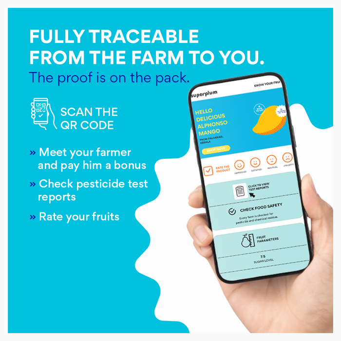 Banganapalli/Safeda Mangoes (Delhi/NCR)