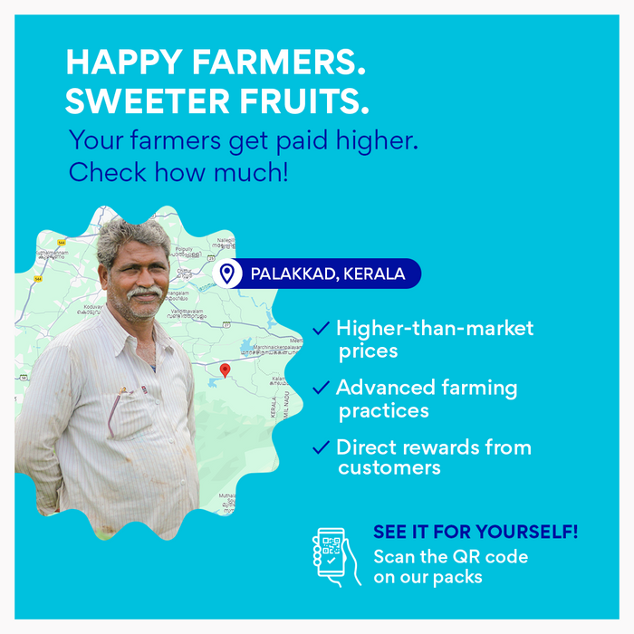 Banganapalli/Safeda Mangoes (Delhi/NCR)