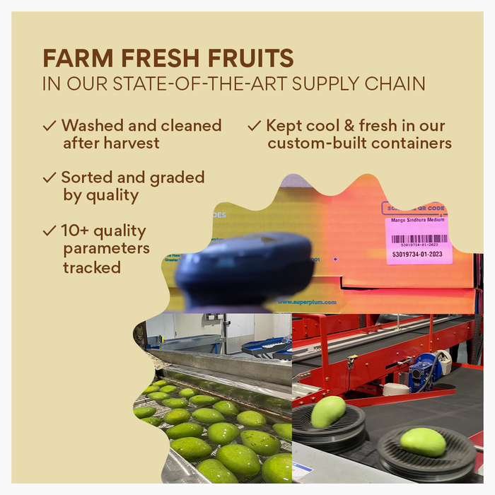 Sapota (Cheeku) (Bengaluru)