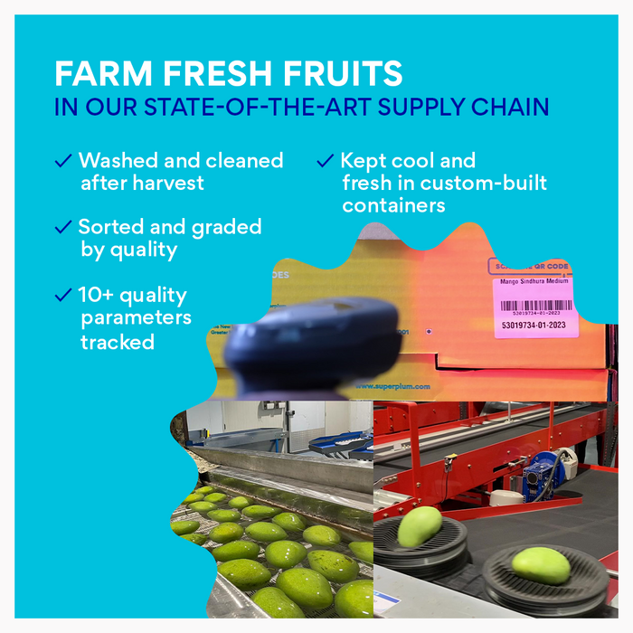 Banganapalli/Safeda Mangoes (Delhi/NCR)