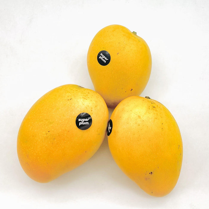 Banganapalli/Safeda Mangoes (Delhi/NCR)