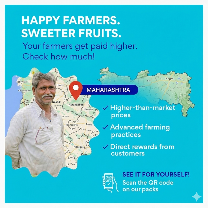 Kesar Mangoes Large (Bengaluru)