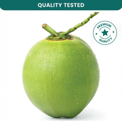 Tender Coconut Uncut : 1pc (Delhi/NCR)