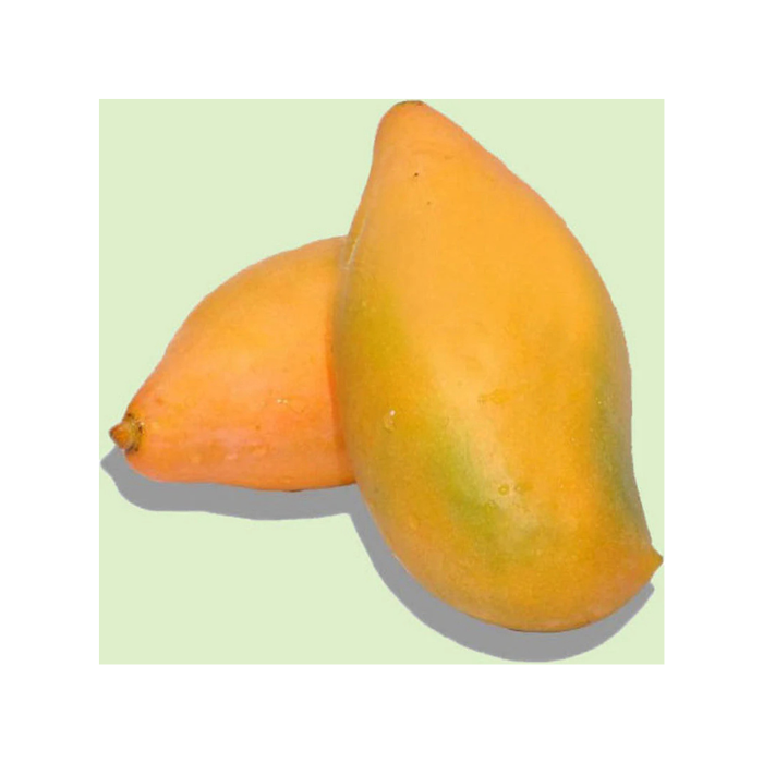 Totapuri Mangoes 2 Pc (Delhi/NCR)