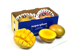 Sindhura Mangoes Large (Delhi/NCR)