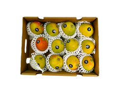 Sindhura Mangoes Mini (Delhi/NCR)