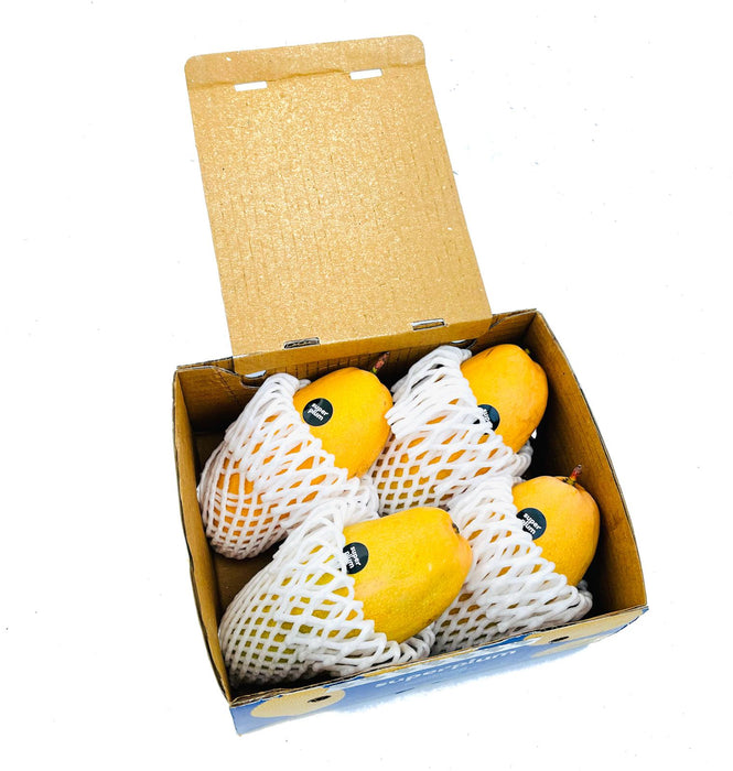 Golden Dussheri Mango Large (Delhi/NCR)