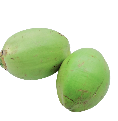 Tender Coconut Uncut : 1pc (Delhi/NCR)